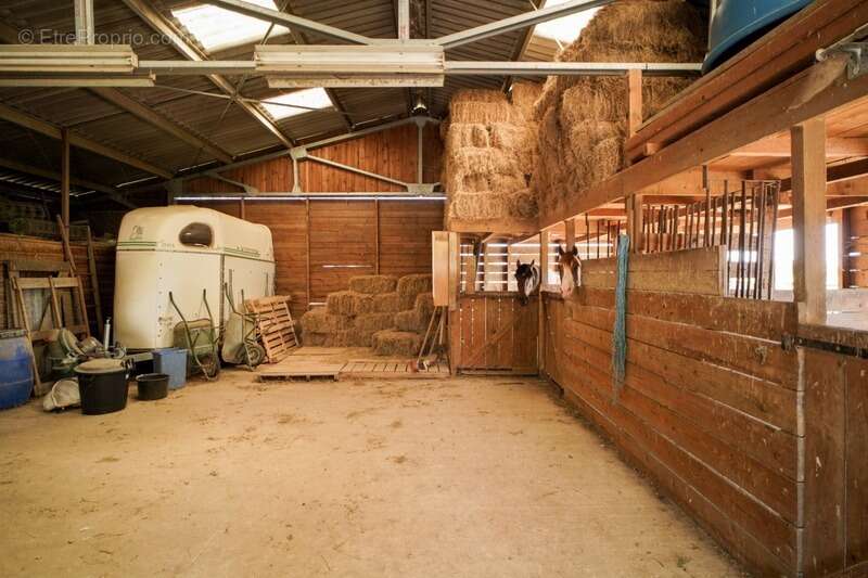 Maison à CHATILLON-SUR-CHALARONNE