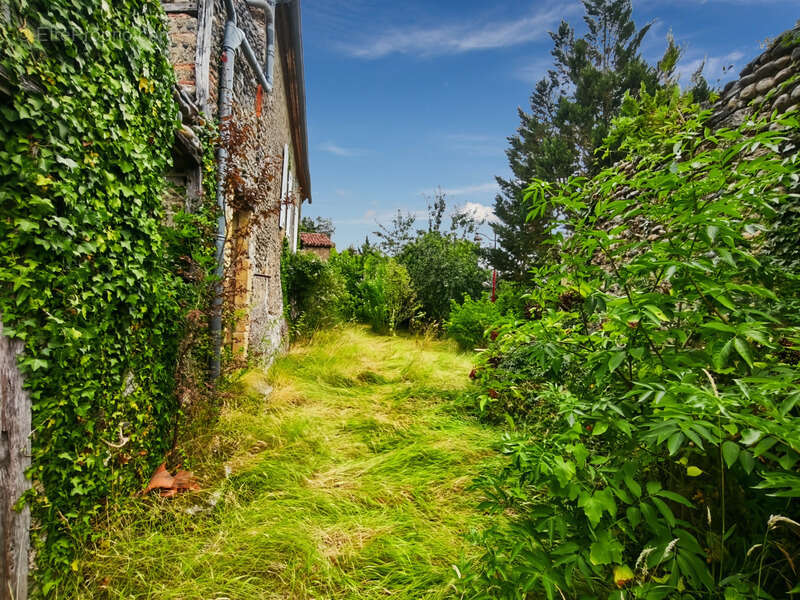 Maison à SAINT-MONT