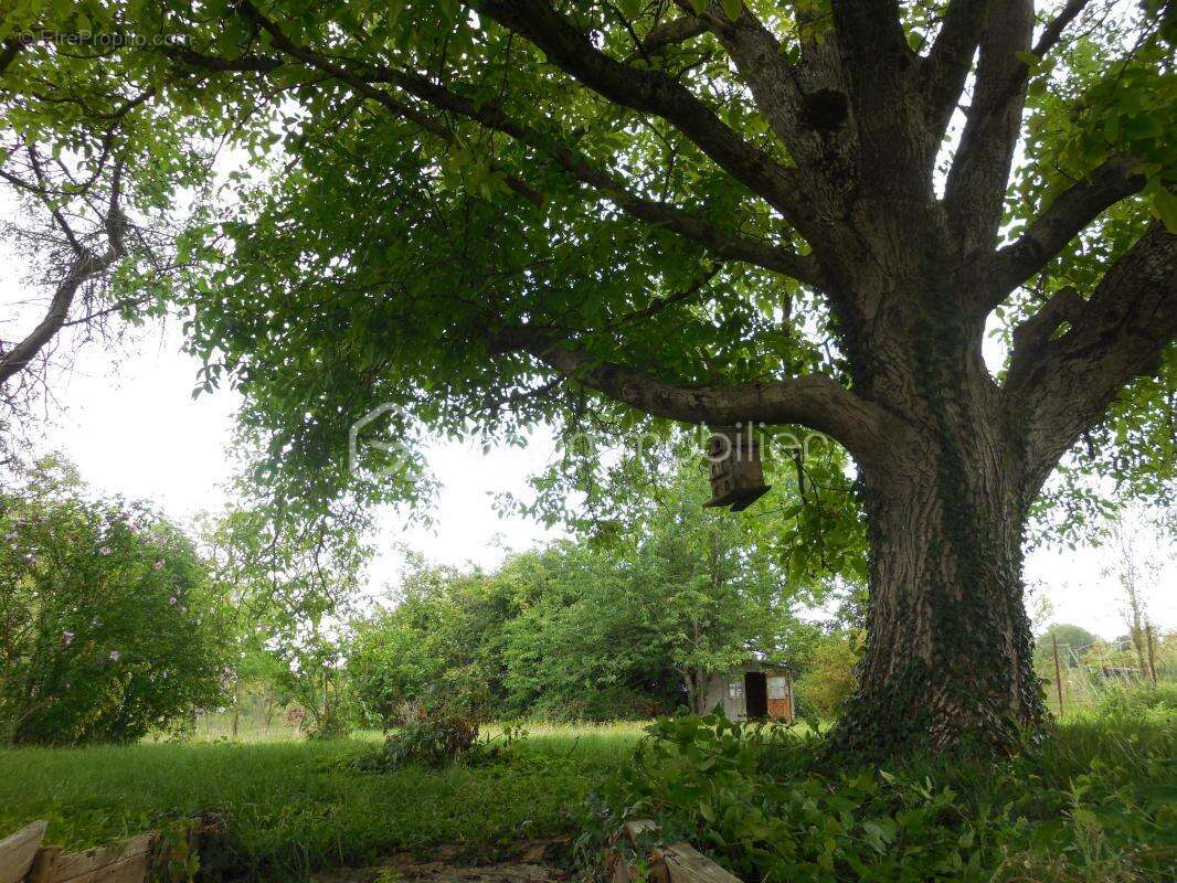 Maison à POIX-TERRON