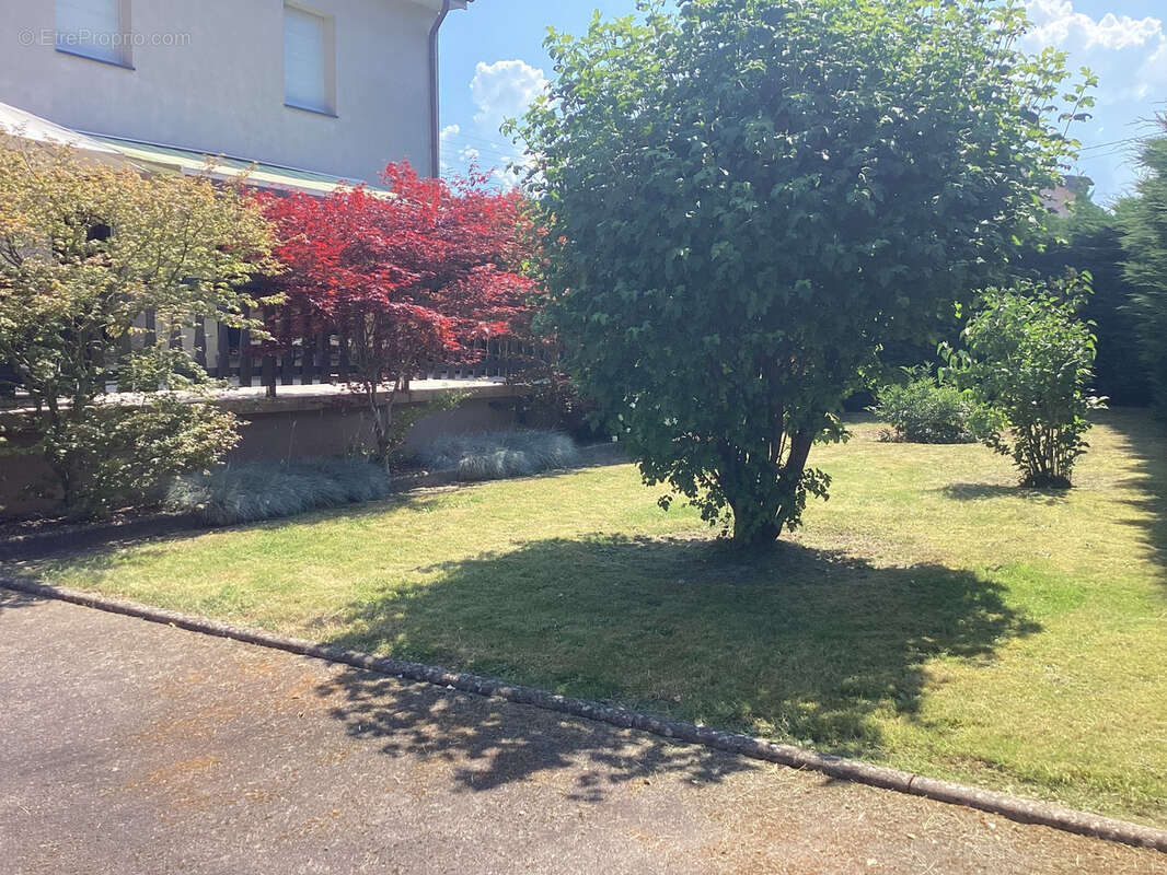 Maison à SAINT-DIE-DES-VOSGES