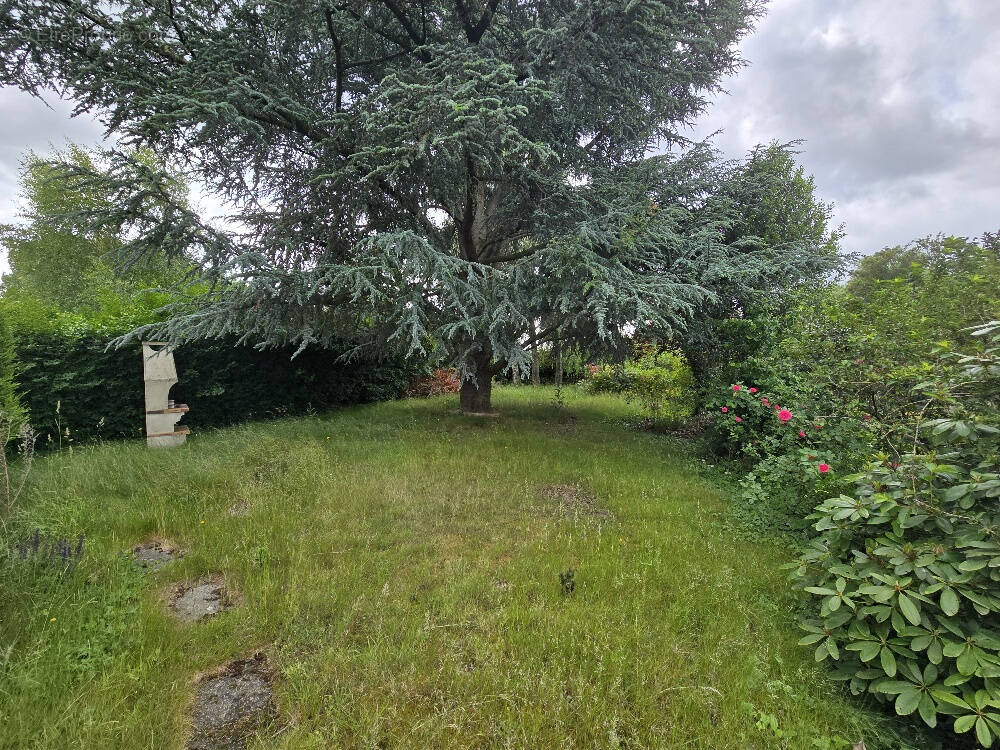 Maison à FOURNES-EN-WEPPES