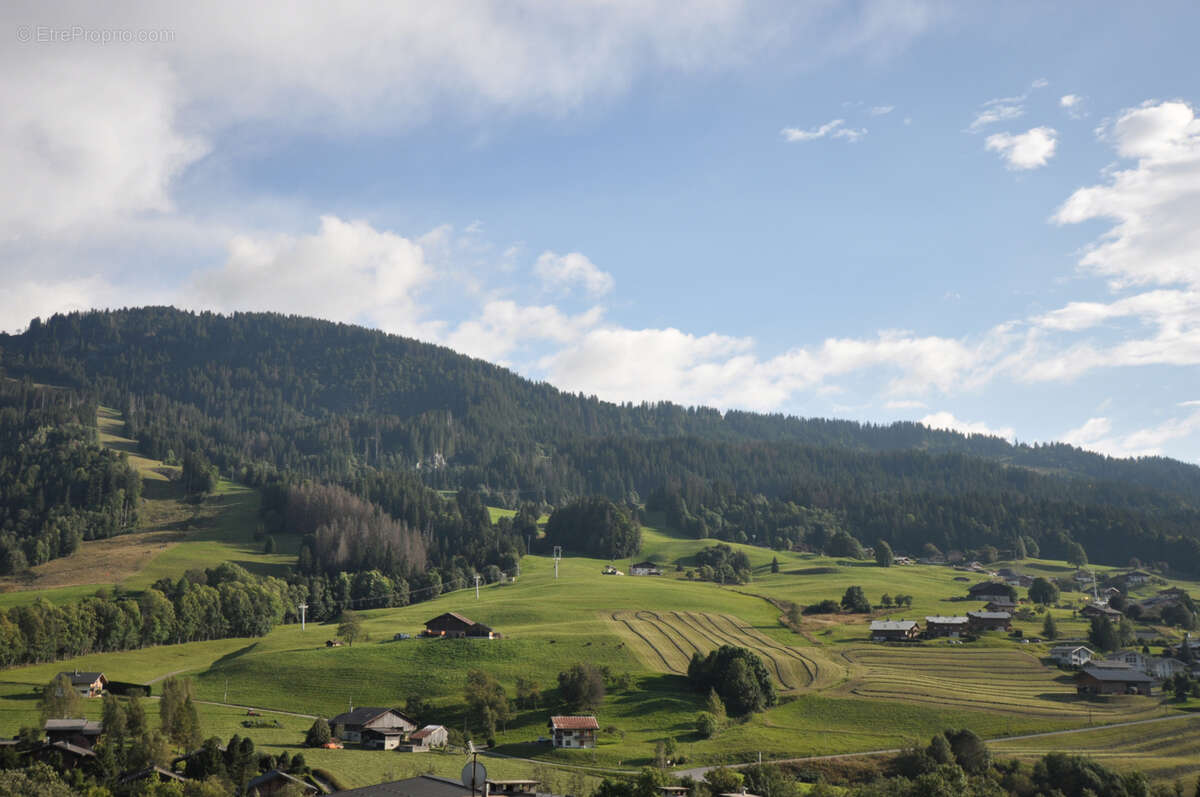 Appartement à PRAZ-SUR-ARLY