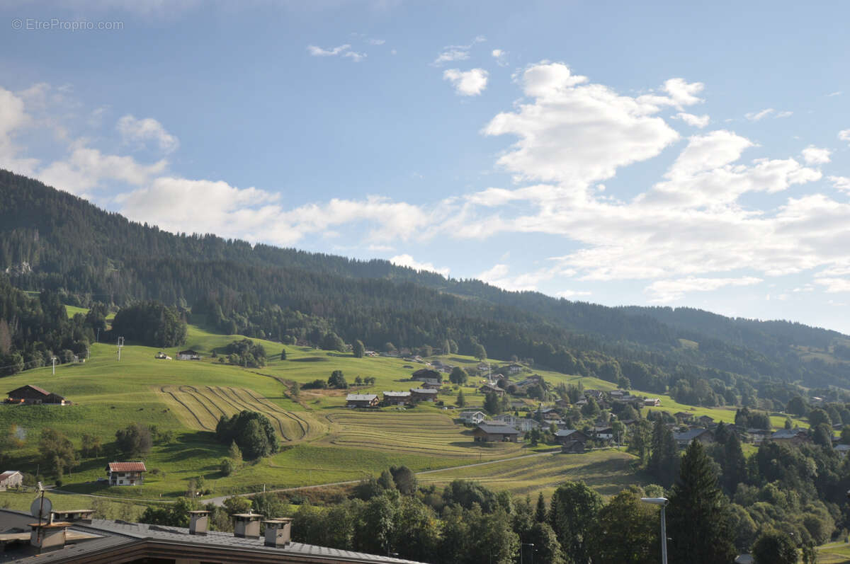 Appartement à PRAZ-SUR-ARLY