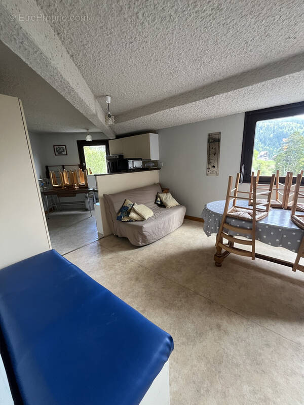 Appartement à LAVEISSIERE