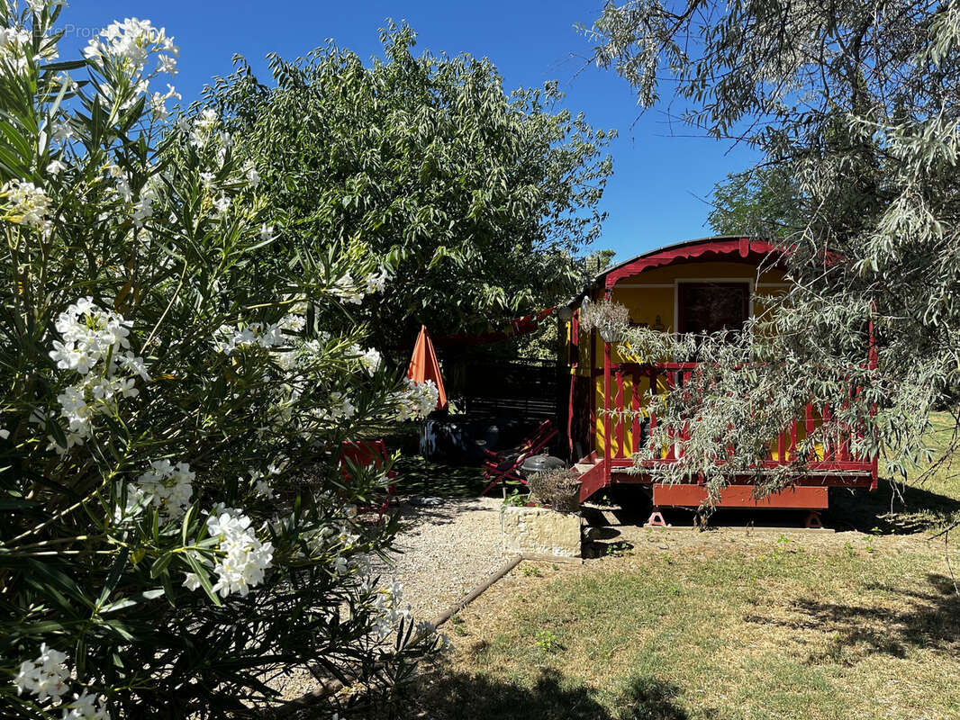 Commerce à TARASCON