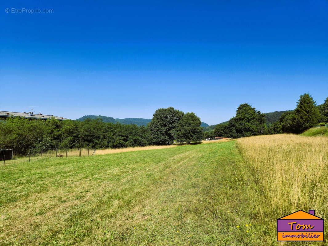 Terrain à MOYENMOUTIER