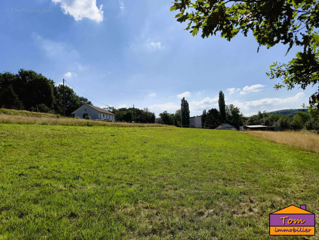 Terrain à MOYENMOUTIER