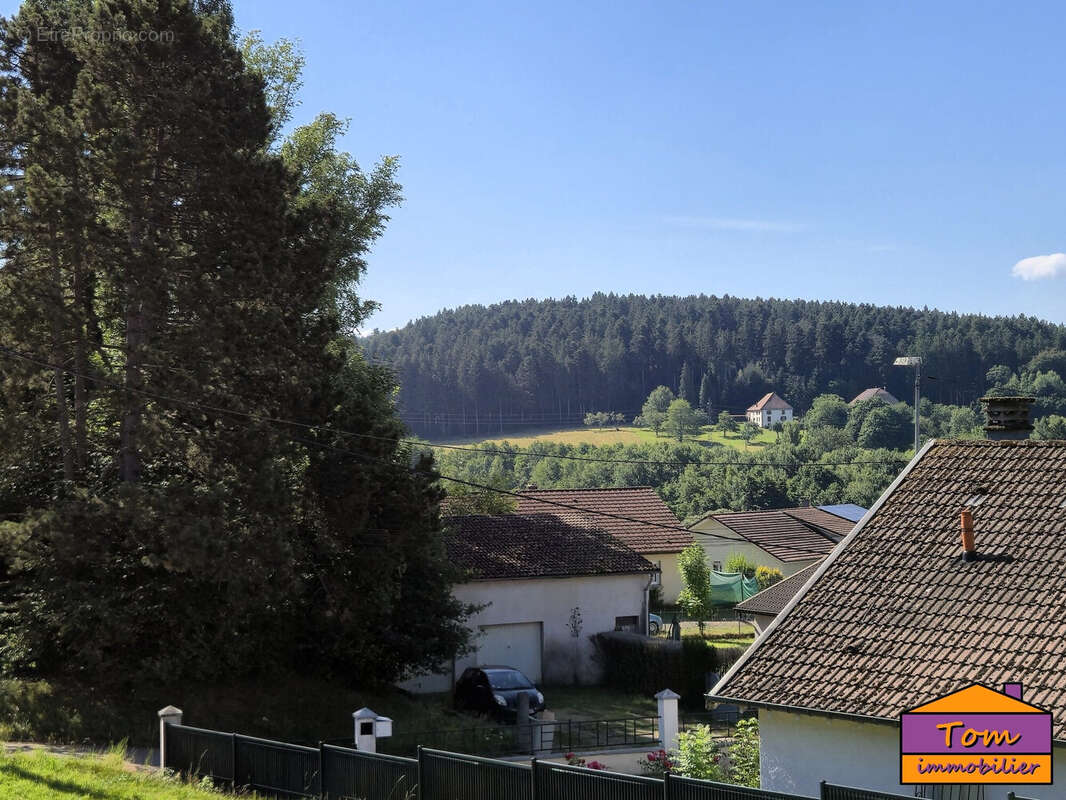 Terrain à MOYENMOUTIER