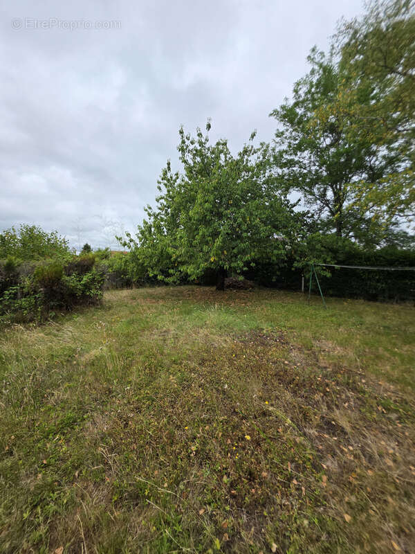 Maison à ARPHEUILLES