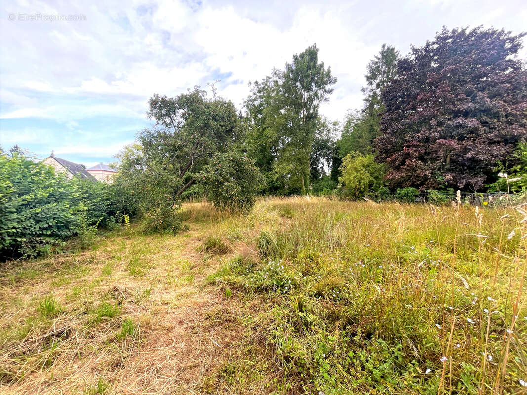 Maison à NEUFMOULIN