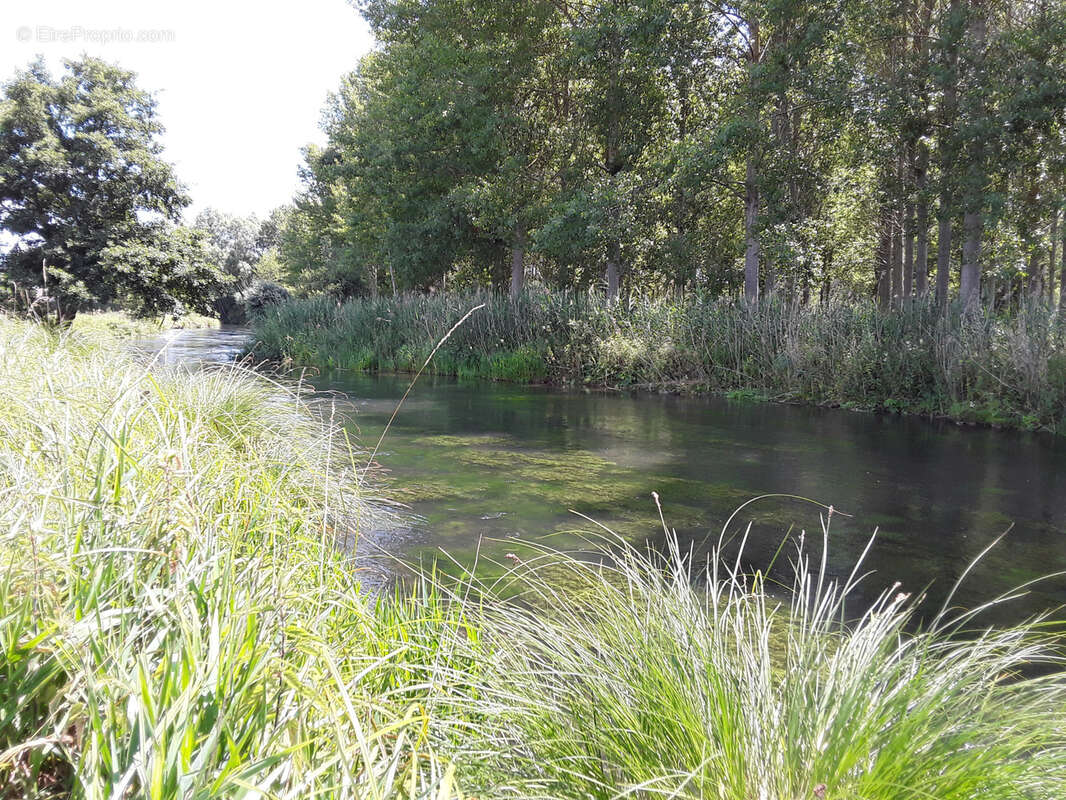 Terrain à SENARPONT