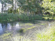 Terrain à SENARPONT