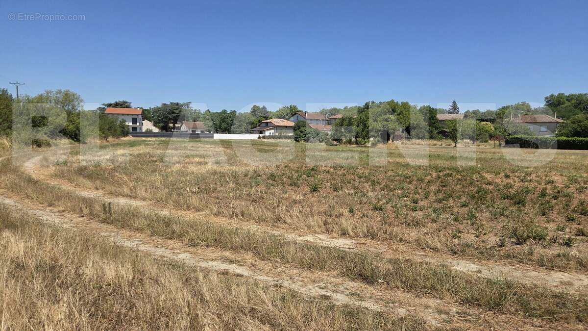 1000015025 - Terrain à CASTRES