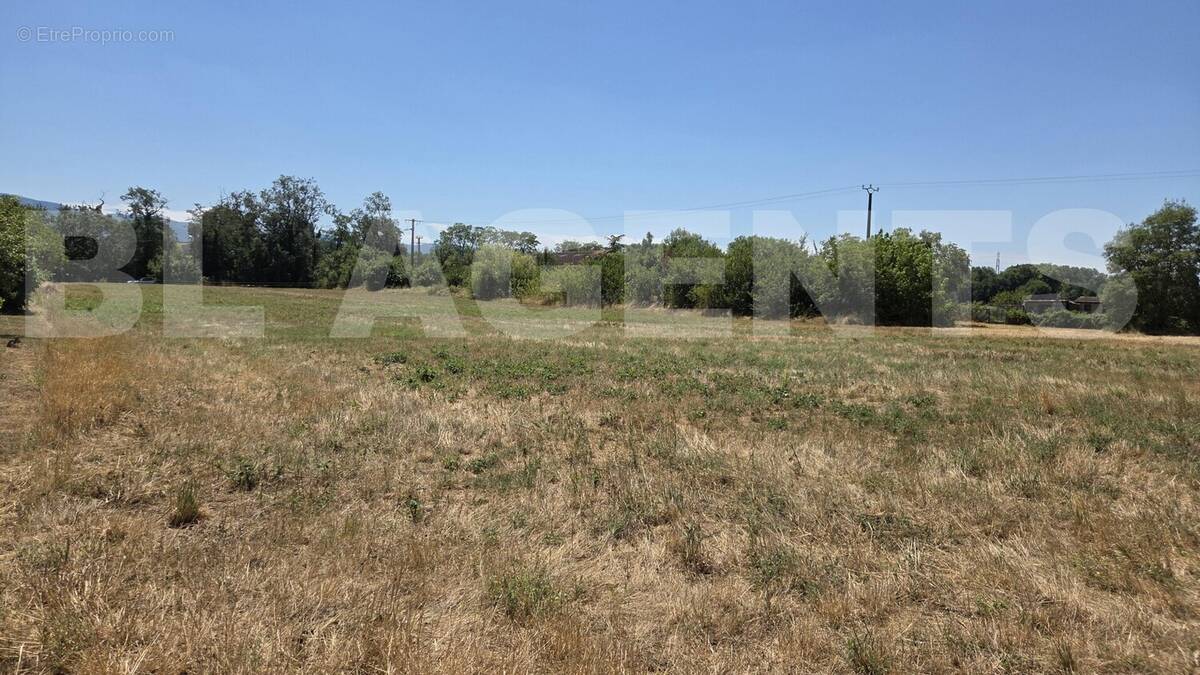 1000015036 - Terrain à CASTRES