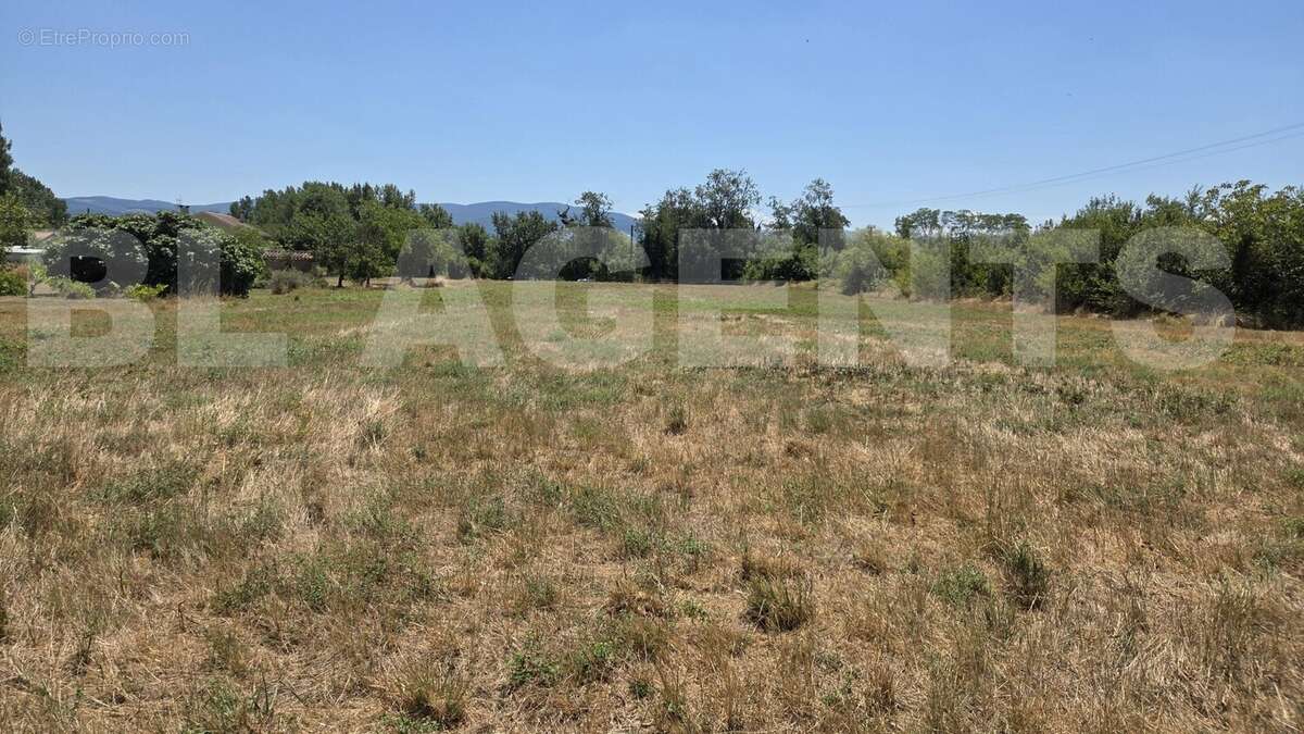 1000015037 - Terrain à CASTRES