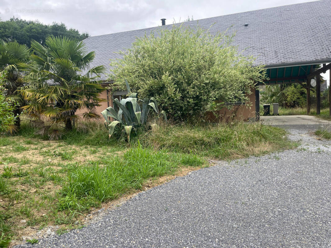 IMG_1598 - Maison à OLORON-SAINTE-MARIE