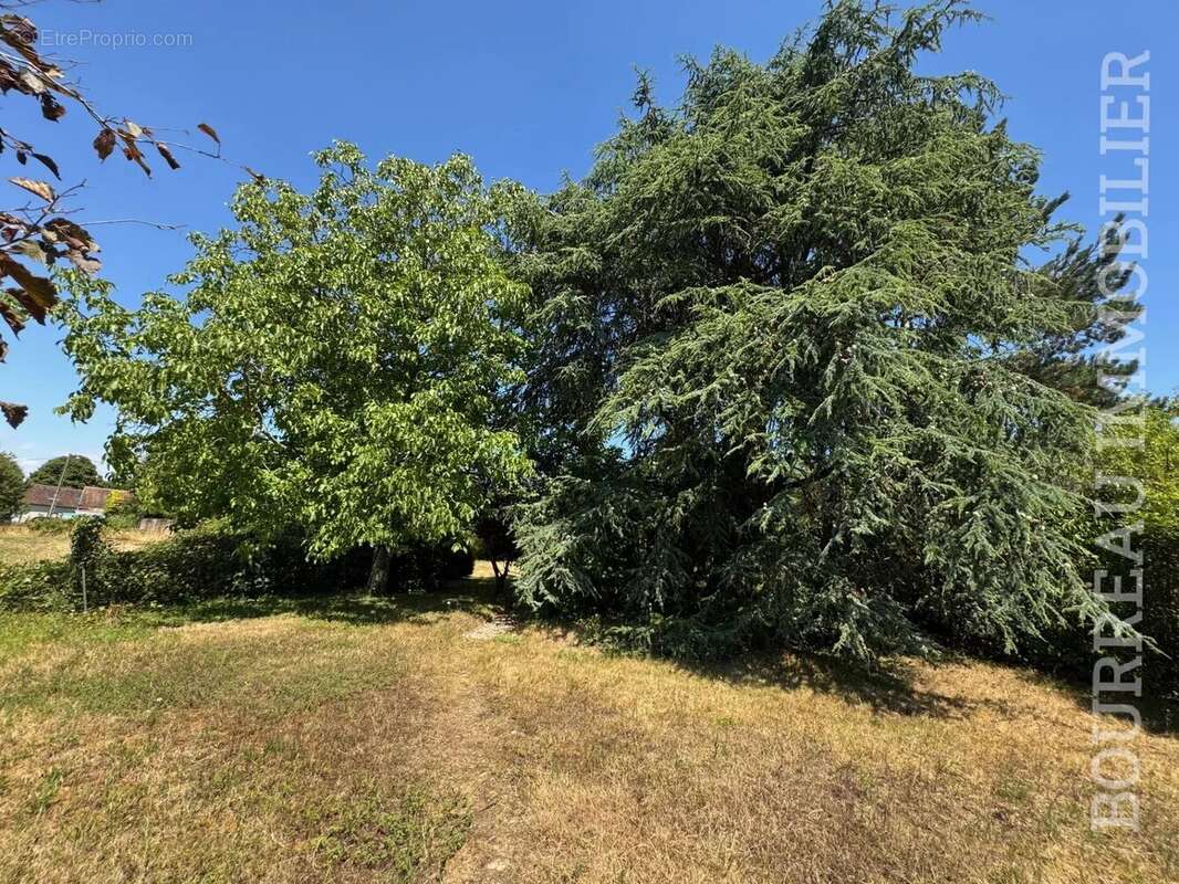 Maison à PRECY-SUR-VRIN