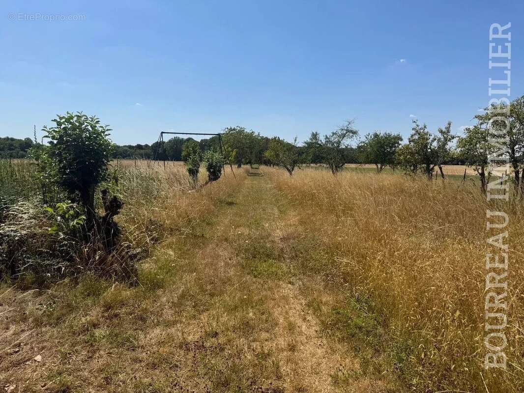 Maison à PRECY-SUR-VRIN