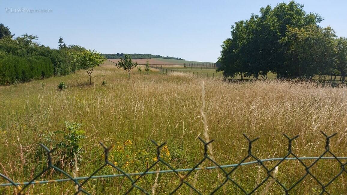 Terrain à REIMS