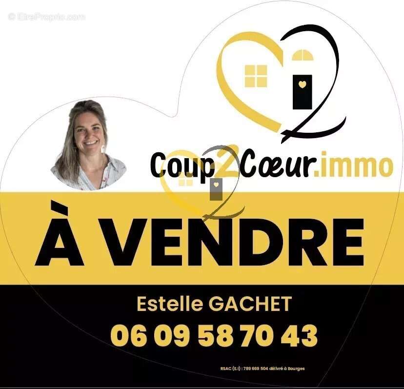 Maison à SAINT-BRISSON-SUR-LOIRE