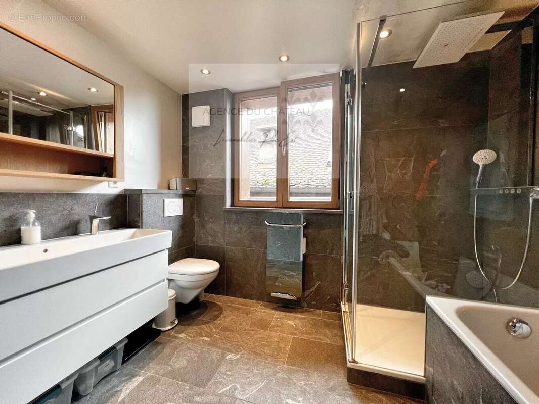 Maison à MENTHON-SAINT-BERNARD