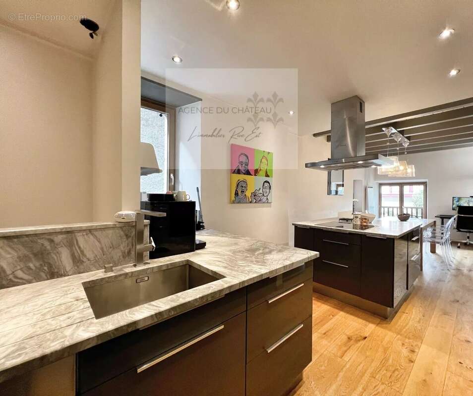 Maison à MENTHON-SAINT-BERNARD