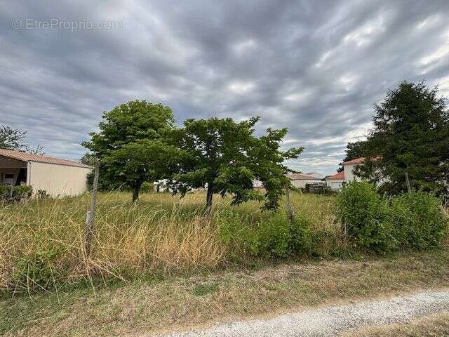Terrain à MESCHERS-SUR-GIRONDE
