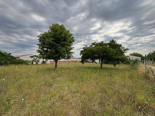 Terrain à MESCHERS-SUR-GIRONDE