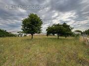 Terrain à MESCHERS-SUR-GIRONDE