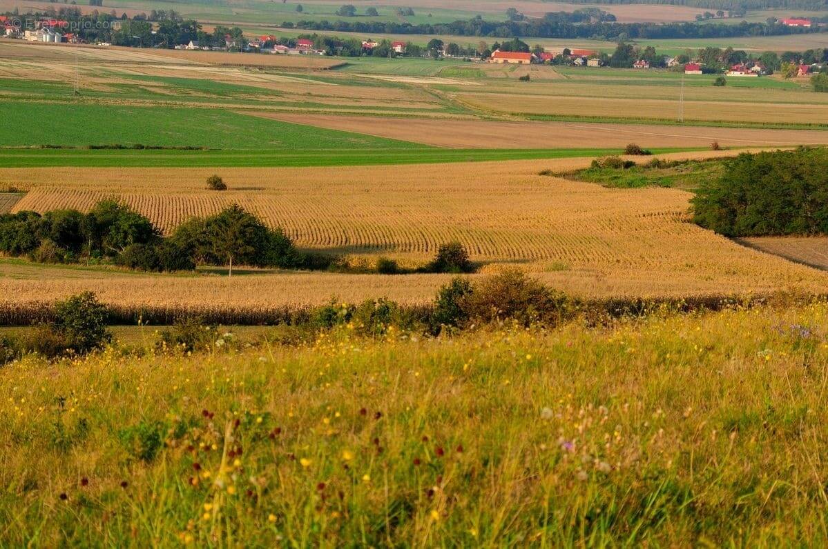 Terrain à LONGCHAMPS