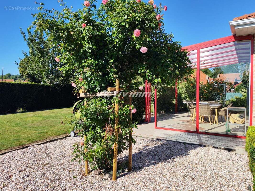 4270 28 - Maison à AUCHY-LES-HESDIN