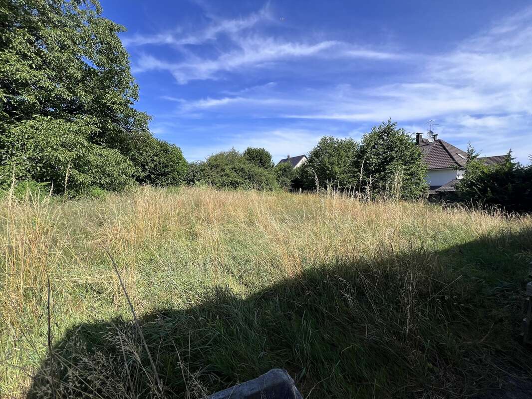 Maison à HAGENTHAL-LE-BAS