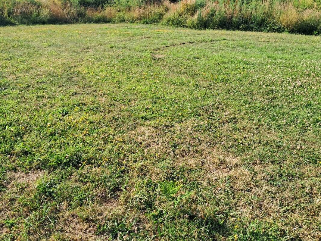 Terrain à PLOUGUERNEAU