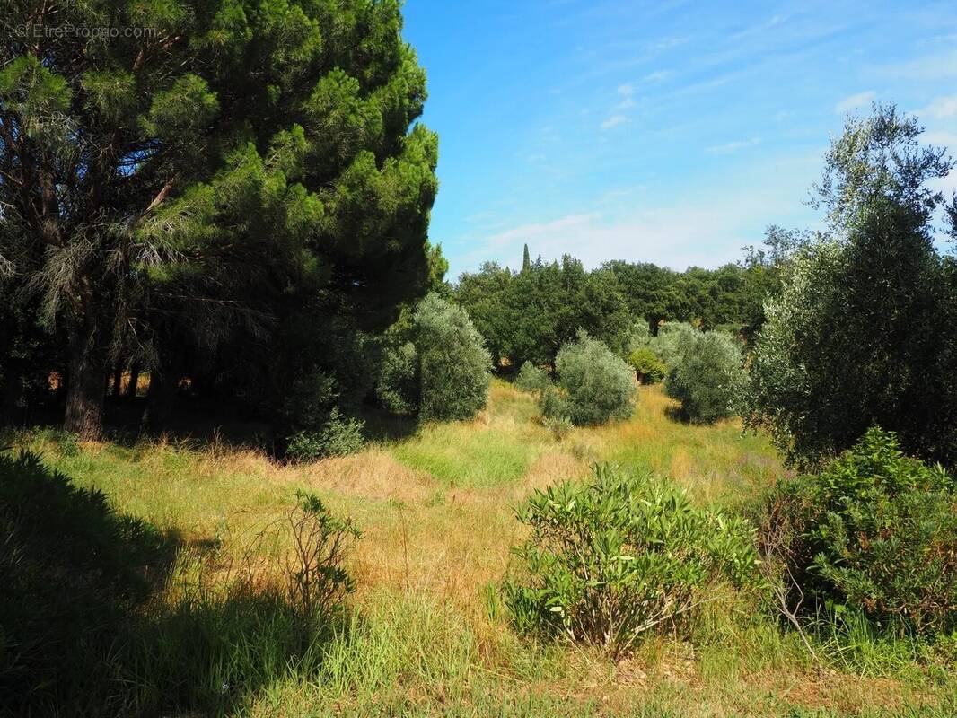 Maison à LA GARDE-FREINET