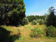 Maison à LA GARDE-FREINET