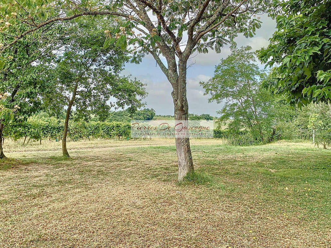 baheux00001 - Maison à VIC-FEZENSAC