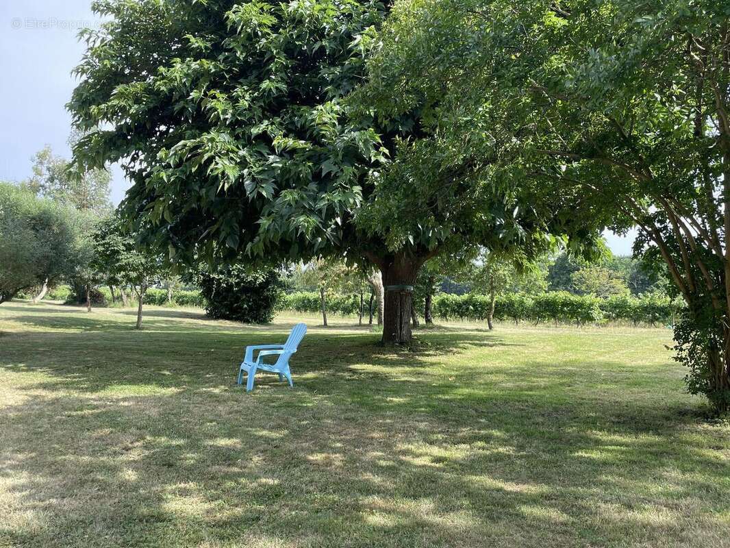 IMG4476 - Maison à VIC-FEZENSAC