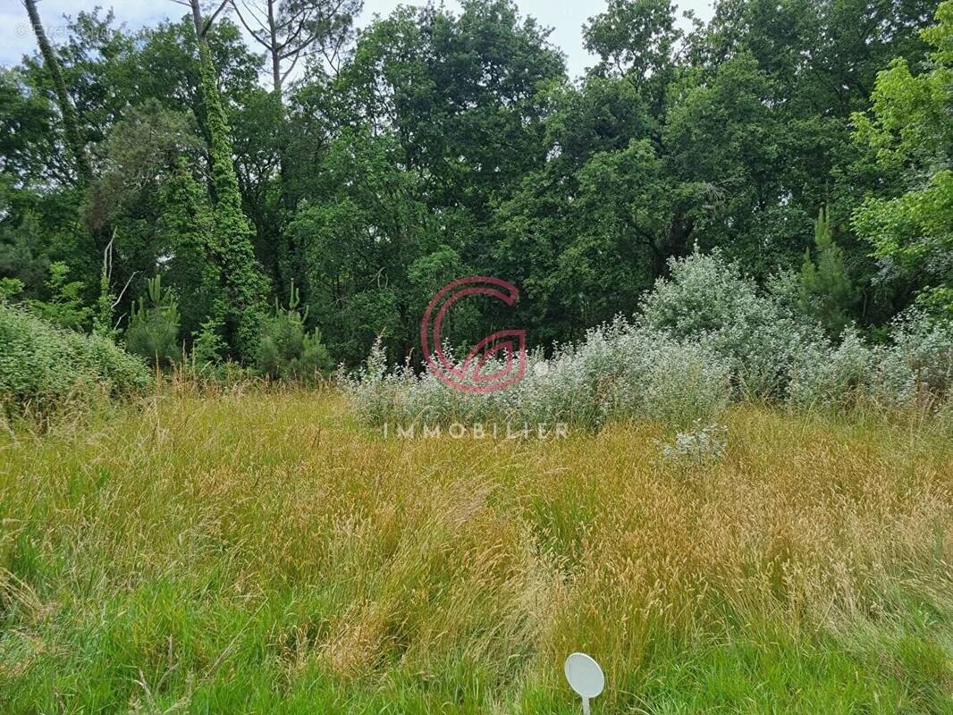 Terrain à SANGUINET
