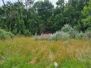 Terrain à SANGUINET