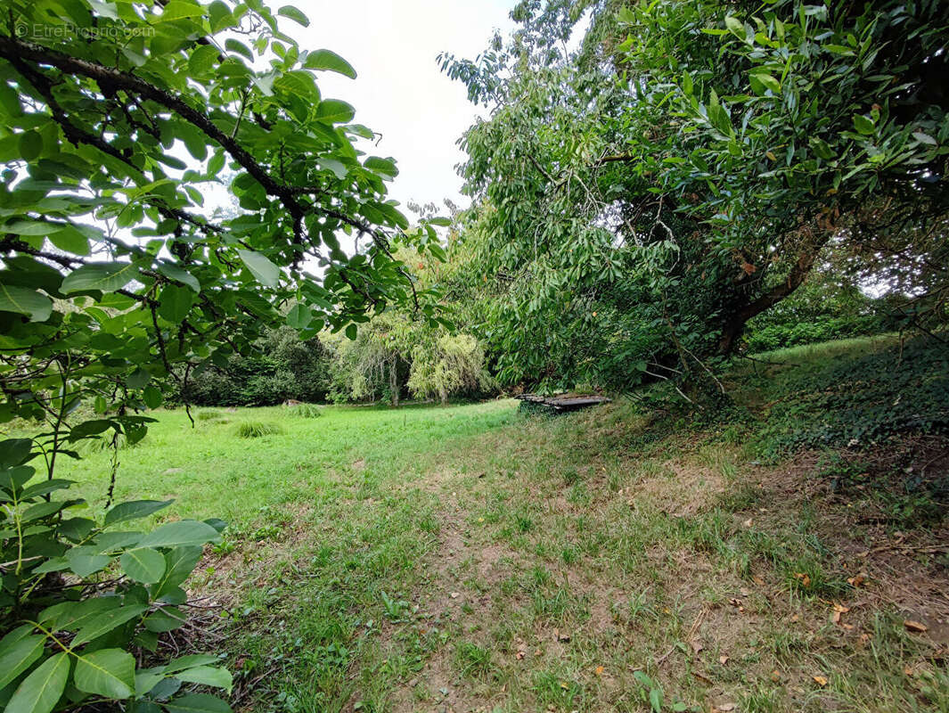 Maison à LE TREVOUX