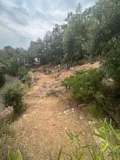 Terrain à TOURRETTES-SUR-LOUP