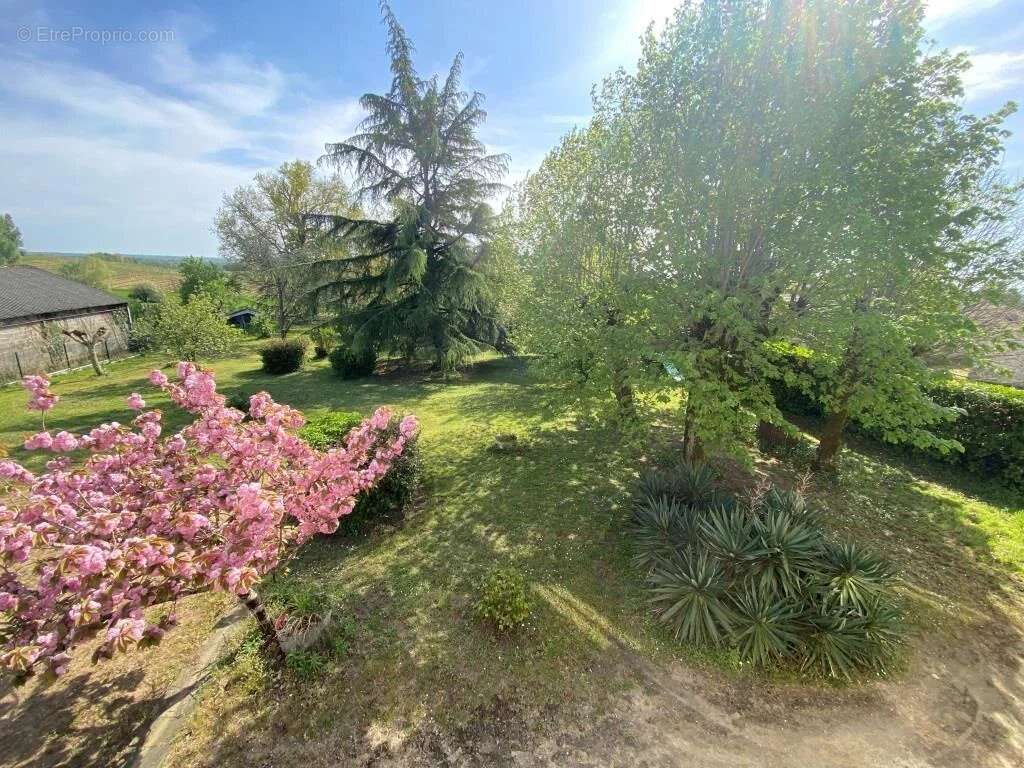 Maison à SAINT-SAVIN