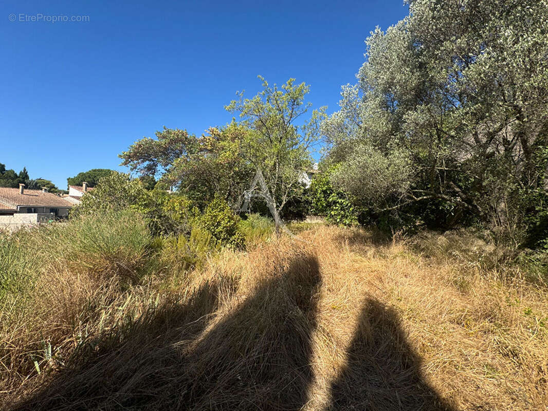 Terrain à NIMES