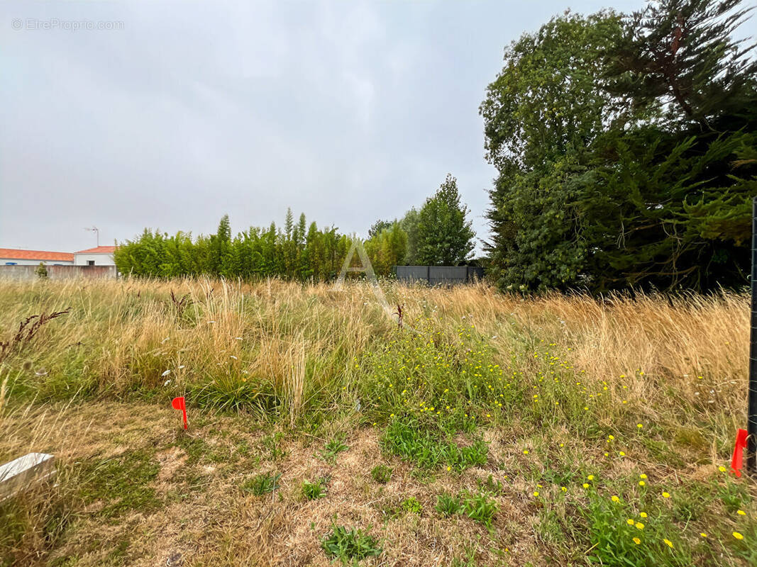 Terrain à LA BARRE-DE-MONTS