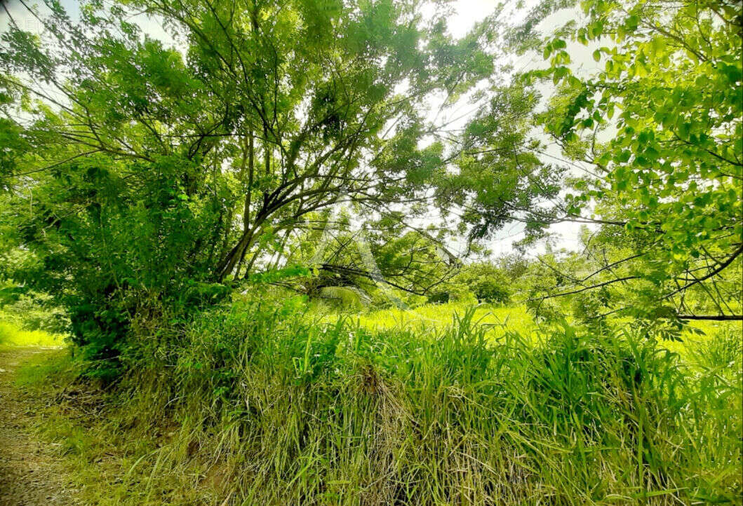 Terrain à SAINTE-LUCE