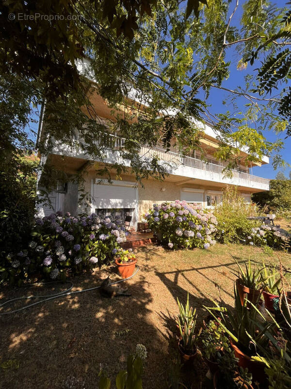 Maison à SAN-NICOLAO