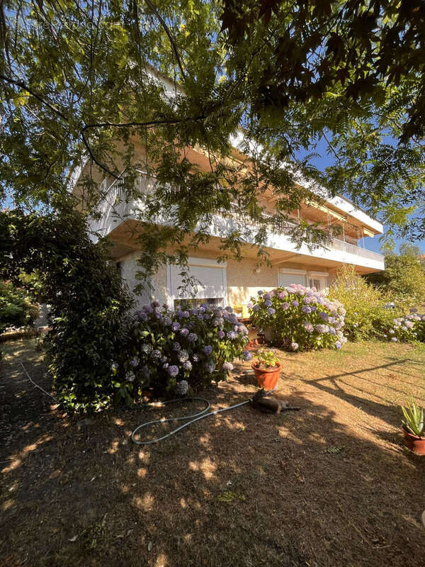 Maison à SAN-NICOLAO