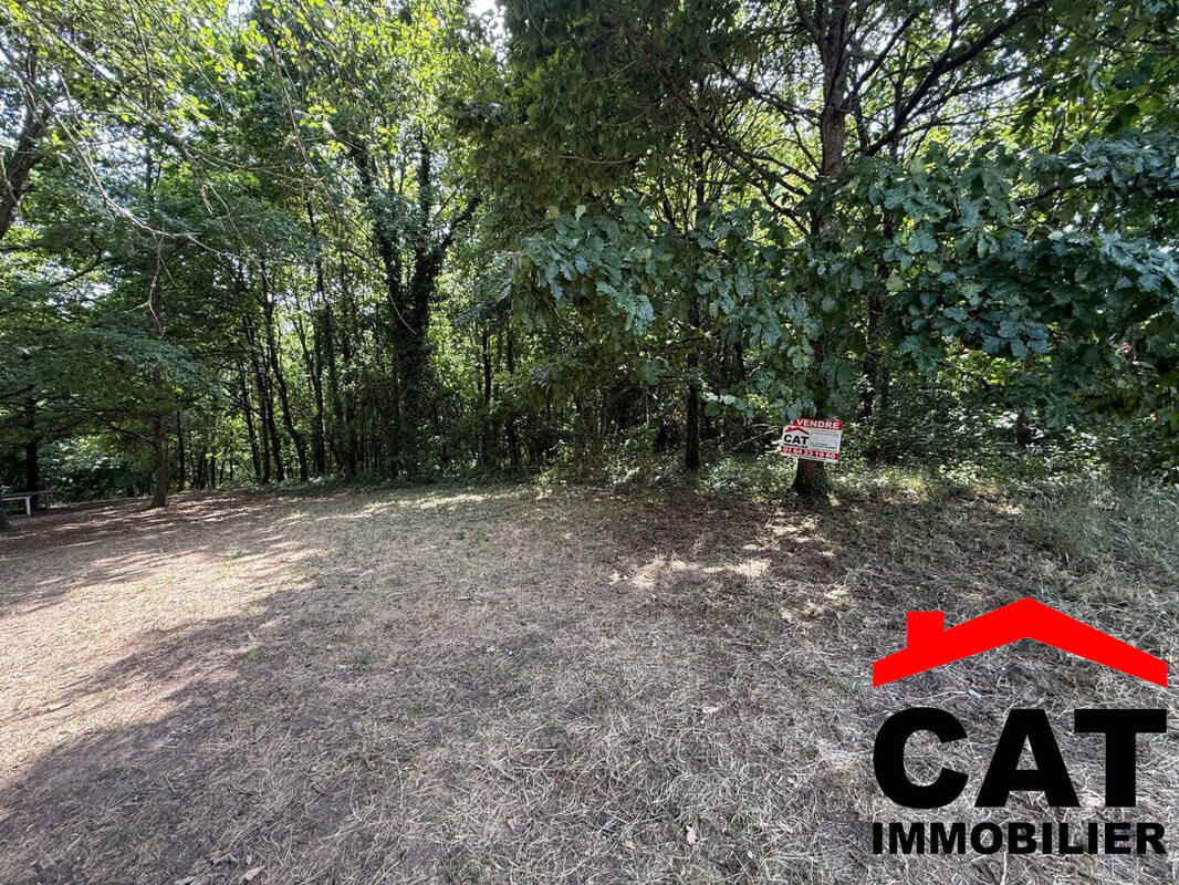 Terrain à VERNOU-LA-CELLE-SUR-SEINE