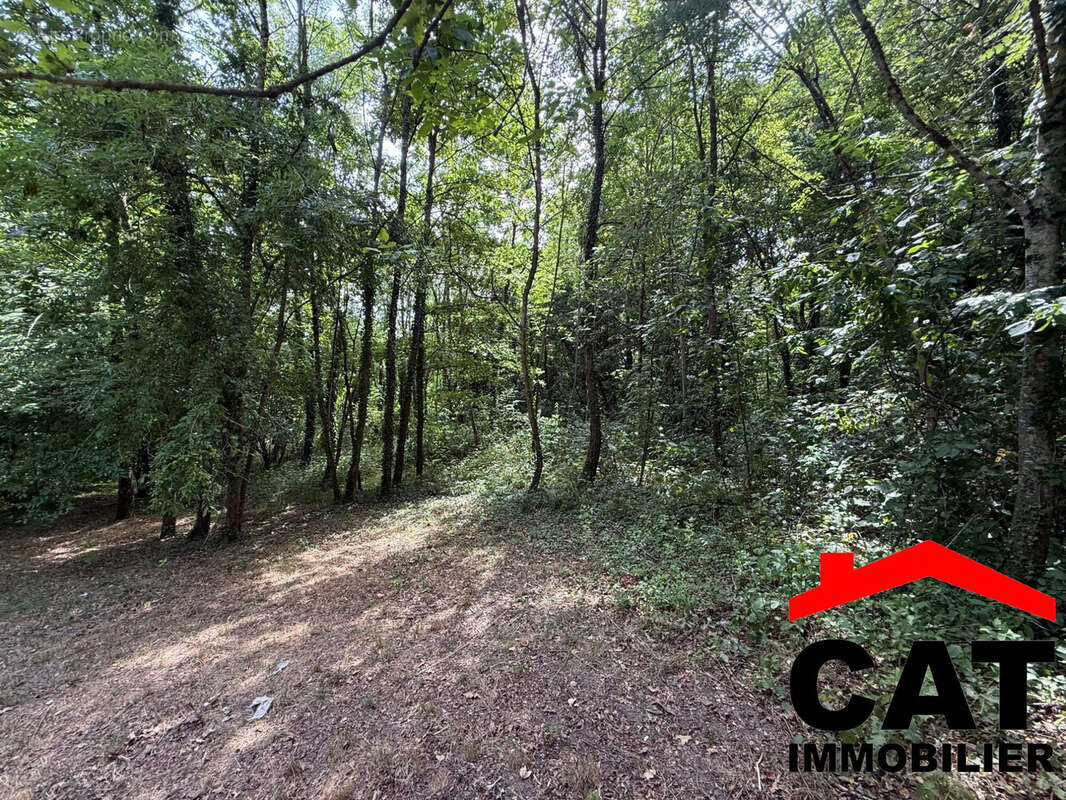 Terrain à VERNOU-LA-CELLE-SUR-SEINE