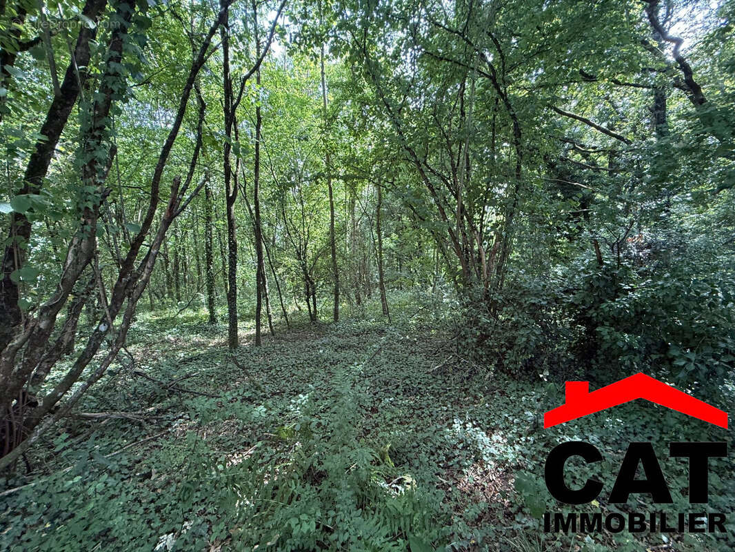 Terrain à VERNOU-LA-CELLE-SUR-SEINE